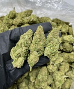 Sour Diesel – Aroma Intenso