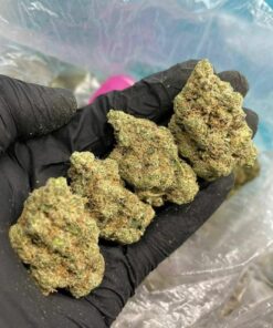 White Widow fiore legale