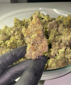 Purple Haze aroma fruttato